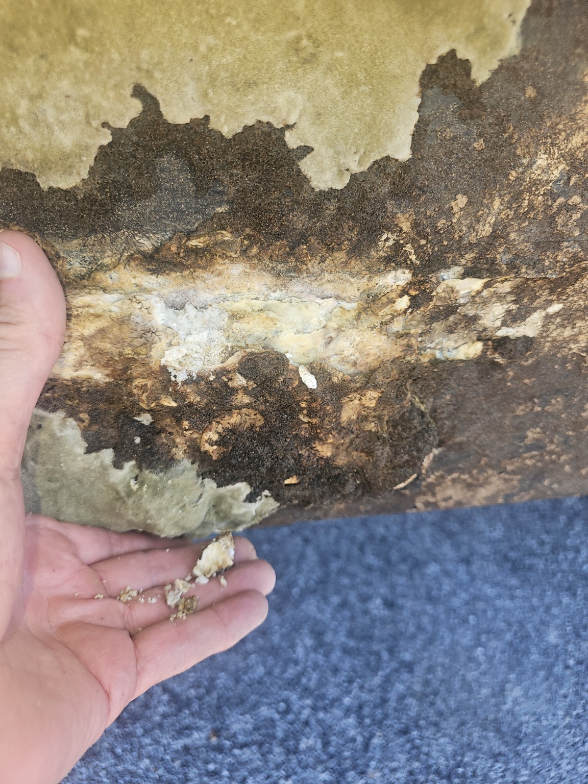 Deteriorated marine structural core exposed during inspection